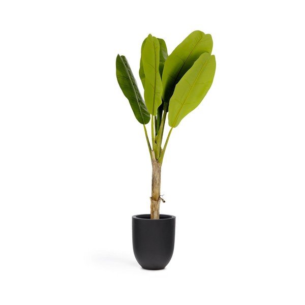 Kunstpalm (kõrgus 160 cm) Baa - Kave Home