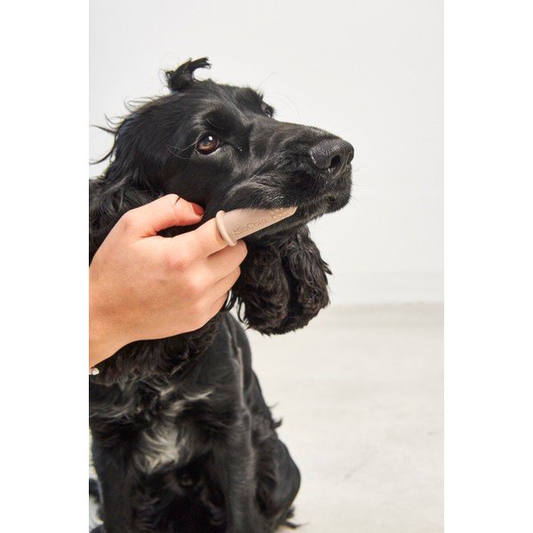 Lemmiklooma hambaharjade komplekt Dito – MiaCara-image-1