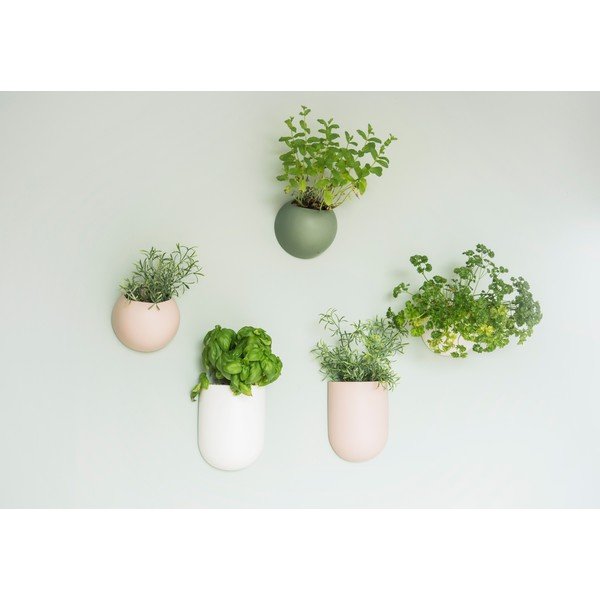 Keraamika lillepoti kate Oval – PT LIVING-image-1