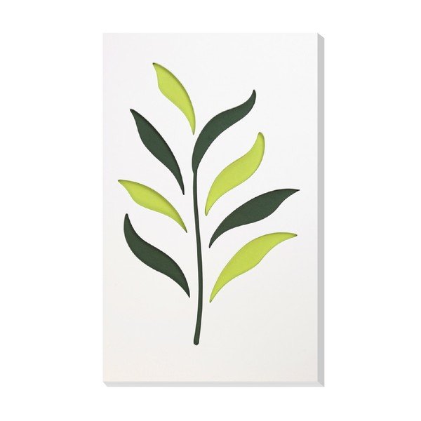 Nástěnná dekorace Vialli Design C-tru Herbs