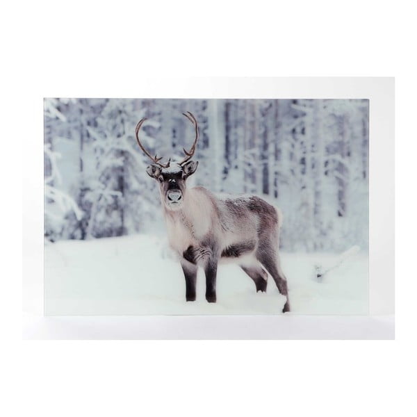 Skleněný obraz Amadeus Reindeer