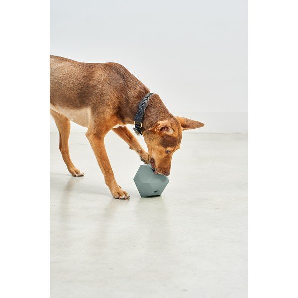 Koera mänguasi Dado Eucalyptus - MiaCara-image-1