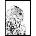 Plakat raamis 50x70 cm Owl - Styler