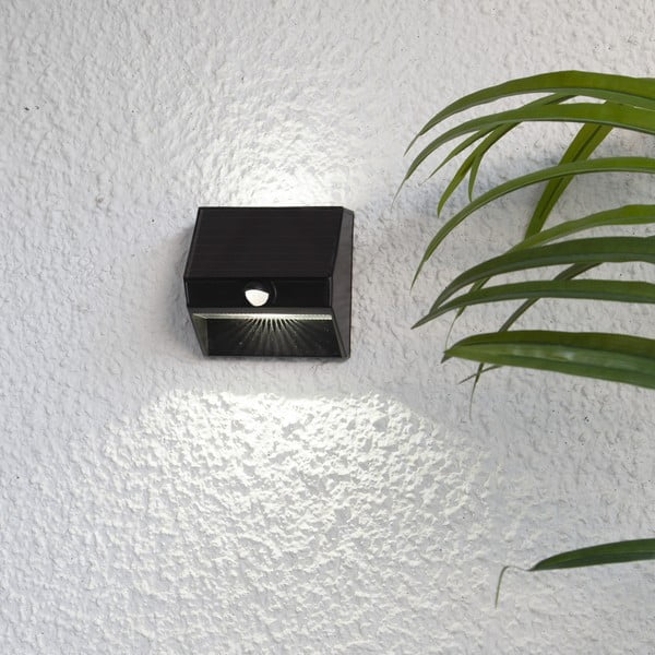 Seinale paigaldatav päikesepaneeliga LED-valgusti, kõrgus 11 cm Wally - Star Trading
