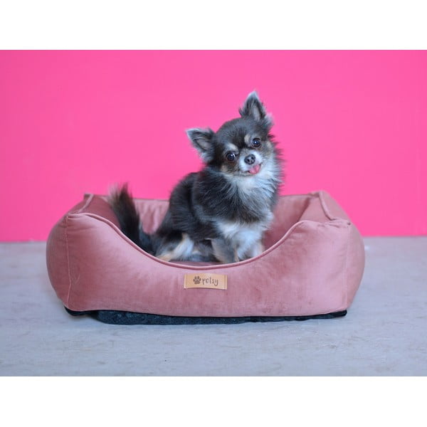 Roosa sametvoodi 55x42 cm Royal - Petsy-image-1