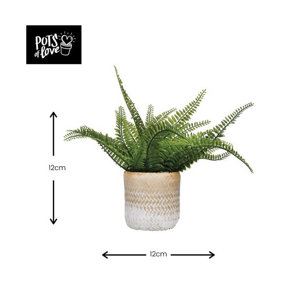 Lillepoti kate  mererohi ø 12 cm Ombré – Kitchen Craft-image-2