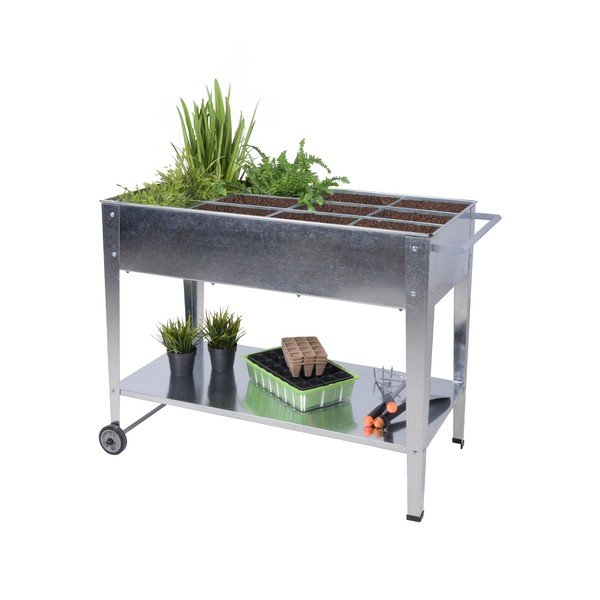 Taimekast Mariegold - Garden Pleasure-image-2