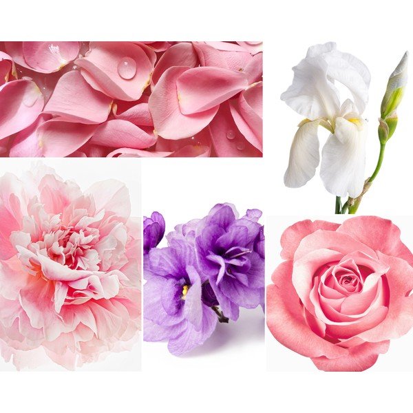 Pulgadifuusor , 200 ml Rose Pivoine - Privé Home-image-1