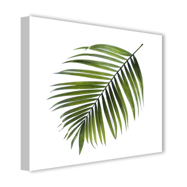 Lõuendmaal Must palm, 32 x 32 cm Greenery - Styler-image-2