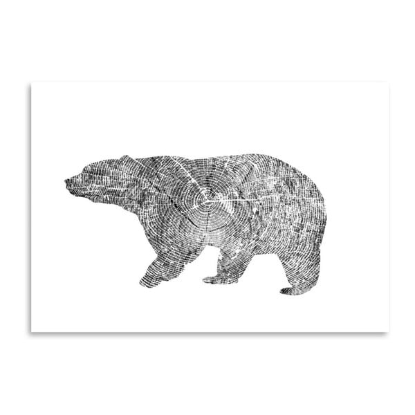 Plakát Americanflat Bear, 30 x 42 cm