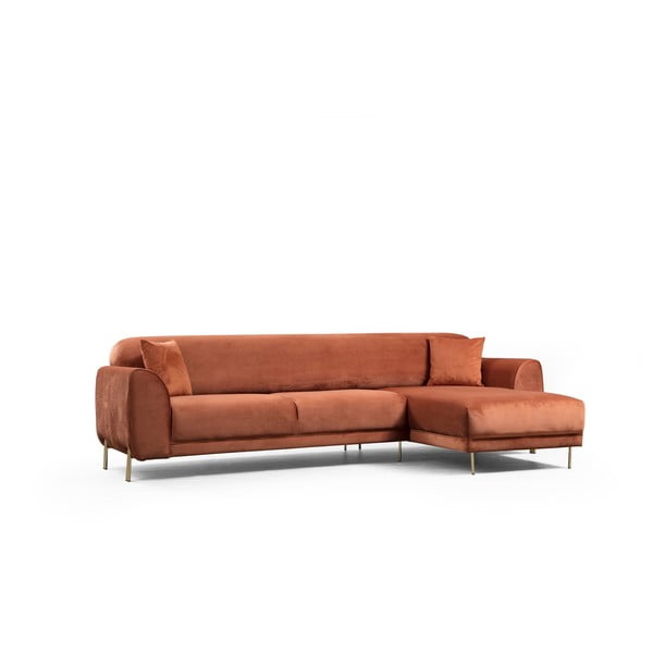 Sametpinnaga oranžikaspruun nurgadiivan , paremas nurgas Image - Artie-image-4