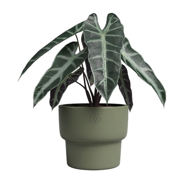 Keraamiline käsitöö lillepott ø 17 cm Echo - Artevasi-image-2