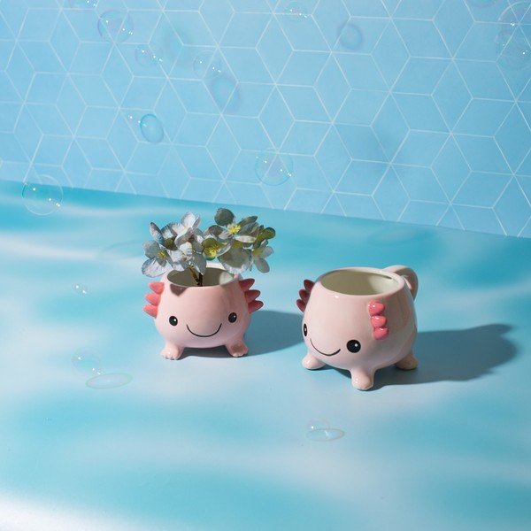 Heleroosa kruus Axolotl - Sass & Belle-image-2