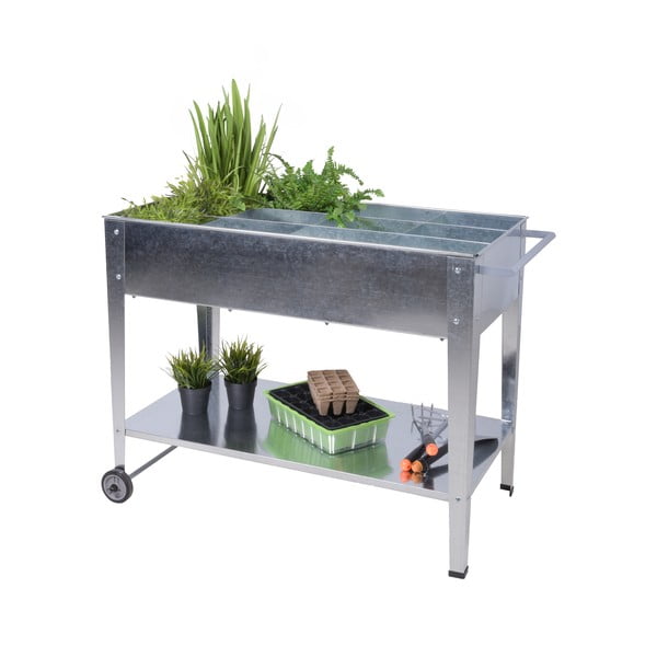 Taimekast Mariegold - Garden Pleasure-image-1