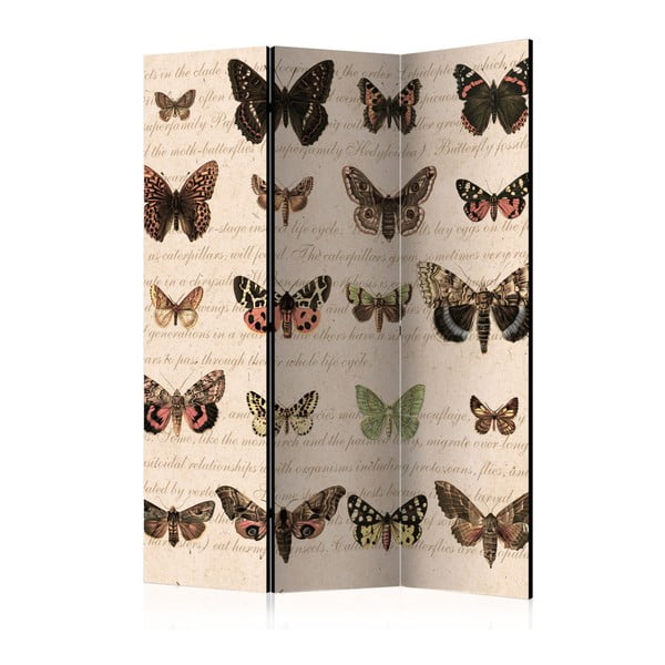 Paraván Artgeist Butterfly Collection, 135 x 172 cm