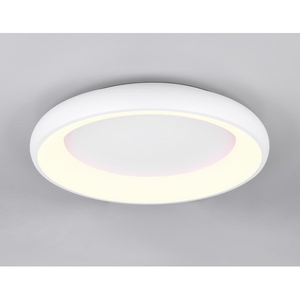 Valge LED dimmerdatav laevalgusti Cardona - Trio-image-1