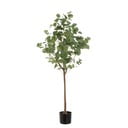 Kunstlill Eucalyptus - Casa Selección