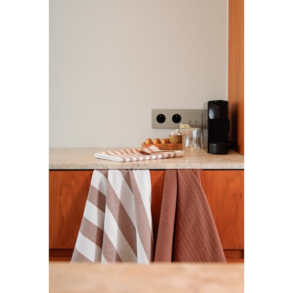 Puuvillased rätikud, 3 tk komplektis 51x74 cm Marra - Tiseco Home Studio-image-4