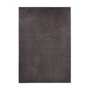 Antratsiithall vaip , 160 x 240 cm Pure - Hanse Home