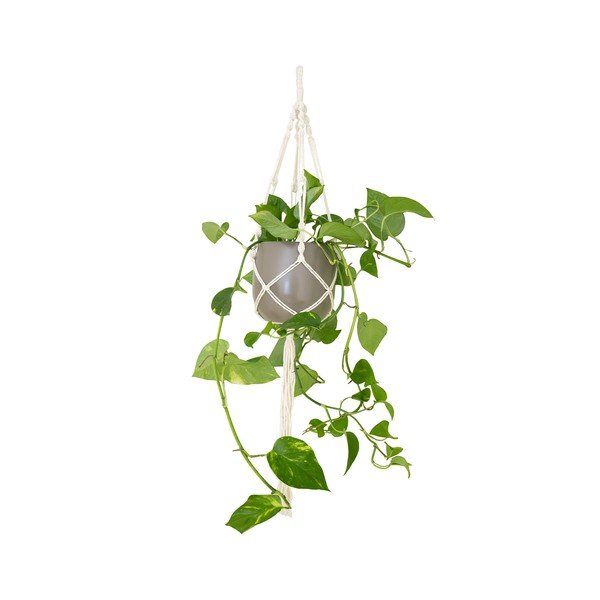 Tekstiil lillepoti riputi  ø 13 cm (kõrgus 100 cm) Macramé – Artevasi