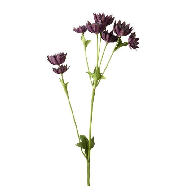 Umělá květina Strantia Purple
