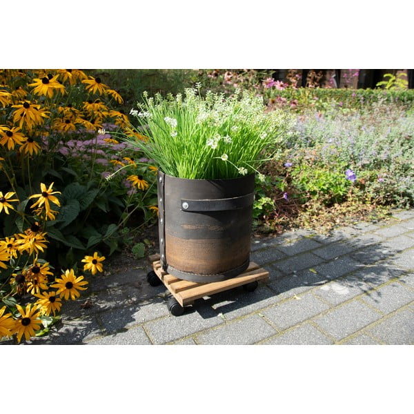 Puidust mobiilne alus lillepottidele (kõrgus 8 cm) Indoor & Outdoor – Esschert Design-image-1