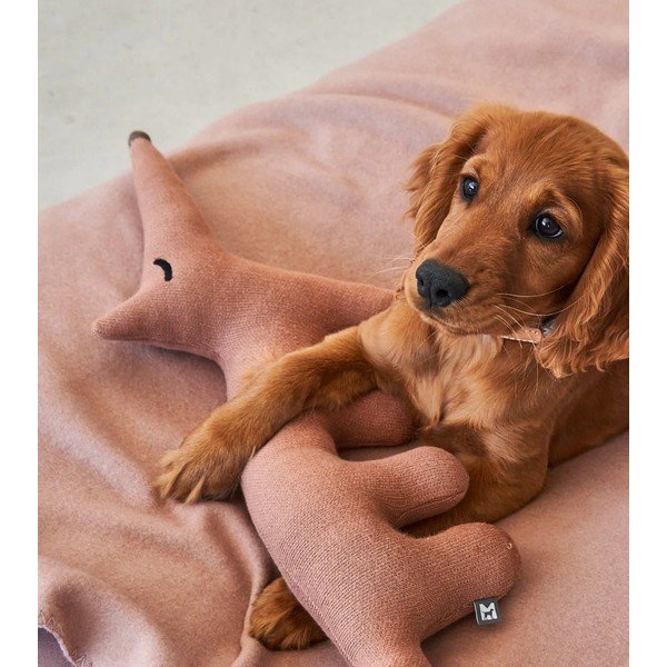 Mänguasi koerale Bosco Rabbit - MiaCara-image-3