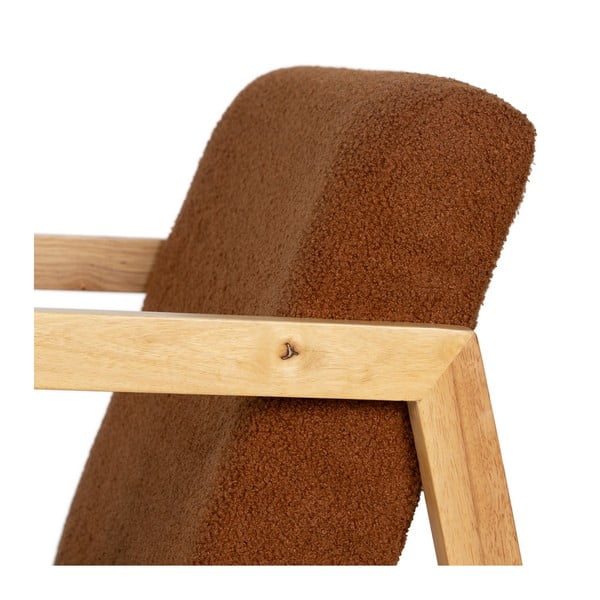 Pruun kiiktool - Ixia-image-4