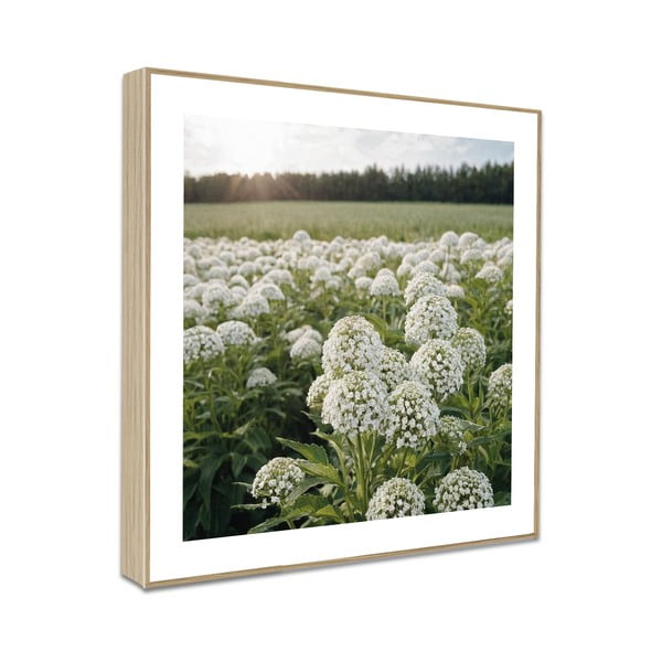 Maalid 4tk komplektis 30x30 cm Sunrise Hike-image-4