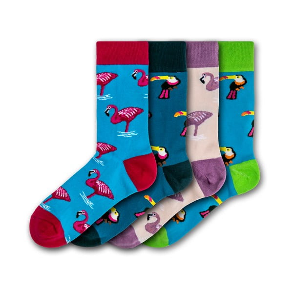 Sada 4 párů barevných ponožek Funky Steps Flamingos and Toucas, velikost 35 - 39 a 41 - 45
