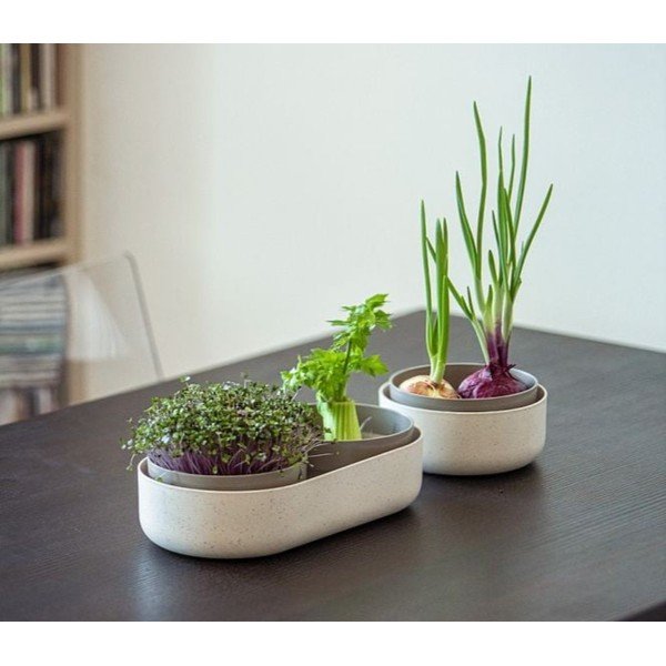 Plastikust idanemisnõu Microgreens + Regrow – Plastia-image-1