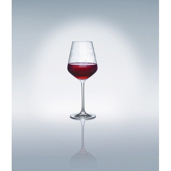 2 veiniklaasi Villeroy & Boch komplekt Villeroy & Boch - Villeroy&Boch-image-1
