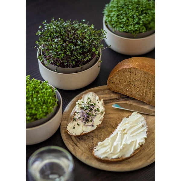 Plastikust idanemisnõu Microgreens + Regrow – Plastia-image-3