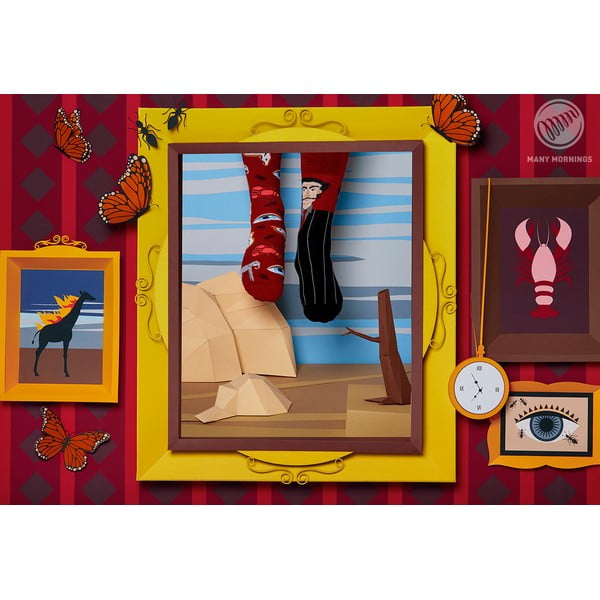 Ponožky Many Mornings Salvadorable, vel. 39-42-image-1