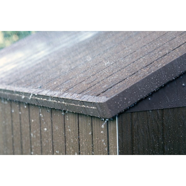 Aiamaja Darwin - Keter-image-3