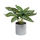 Kunstlik taim (kõrgus 21 cm) Syngonium - Ixia