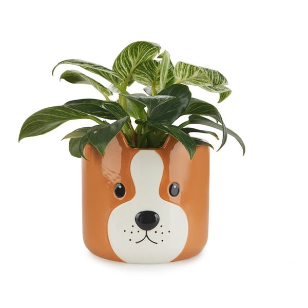 Keraamiline pott ø 13,5 cm Woof - Balvi-image-1