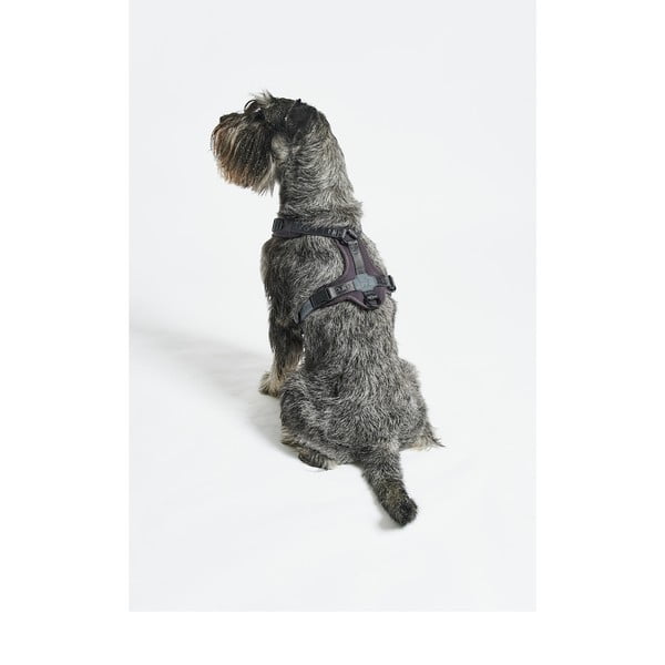 Tumehall traksid S pikkus 30 cm Modena Asphalt S – MiaCara-image-2