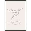 Seinaplakat raamis SKETCHLINE/HUMMINGBIRD, 40 x 50 cm Sketchline Hummingbird - DecoKing