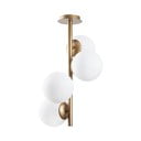 Kuldne laevalgusti klaasist varjuga ø 15 cm Faze - Opviq lights