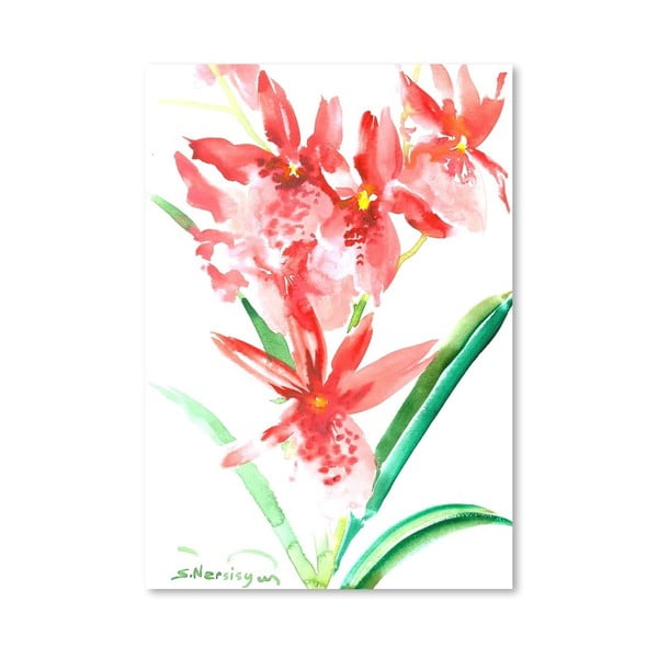Plakát Orchids in Pink od Suren Nersisyan
