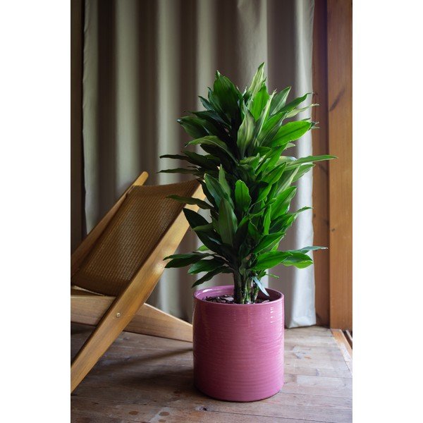 Keraamiline käsitöö lillepoti kate ø 25 cm Fortuna - Artevasi-image-1