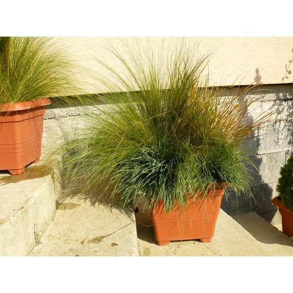 Pruun isevoolav pott, 50 x 50 cm Bergamot - Plastia-image-1