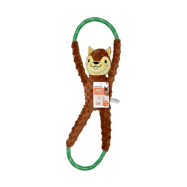 Koera mänguasi Squirrel - Love Story-image-1