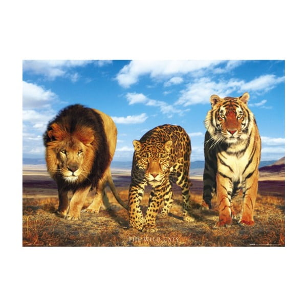 Fotoobraz The Wild Cats, 51x81 cm