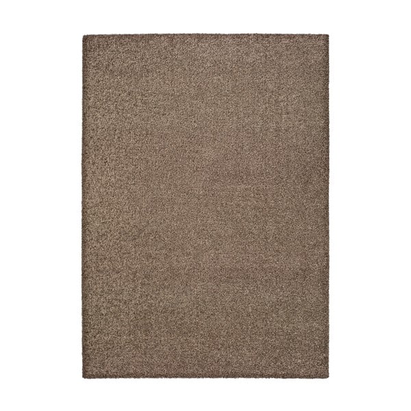 Tmavě hnědý koberec Universal Princess, 230 x 160 cm