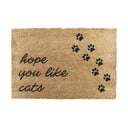 Kookoskiududest uksematt 40x60 cm Hope You Like Cats - Artsy Doormats