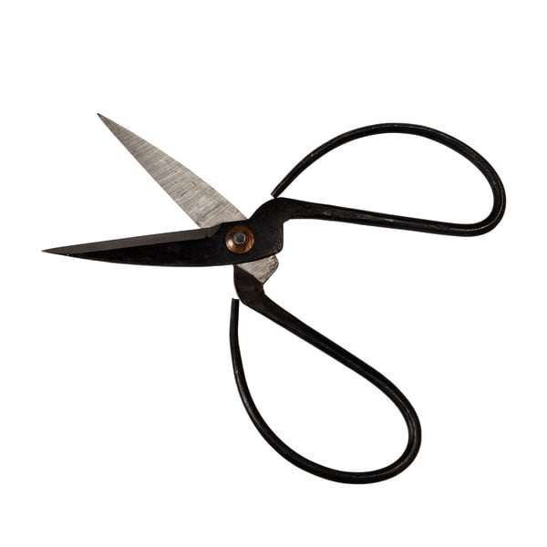 Aiakäärid Your Garden - Rex London-image-2