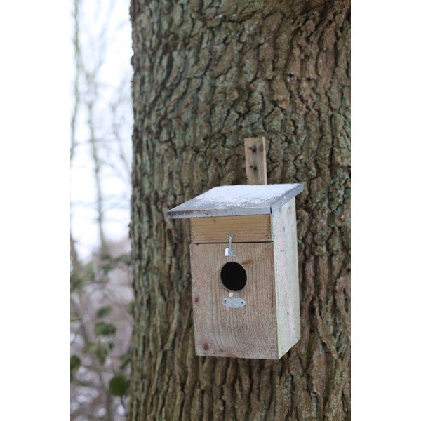 Puit kuldnoka maja – Esschert Design-image-3