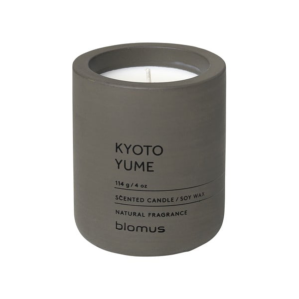 Lõhnastatud sojaküünal, põlemisaeg 24h Fraga: Kyoto Yume – Blomus